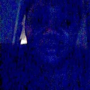 Meet your Posher, Fiona